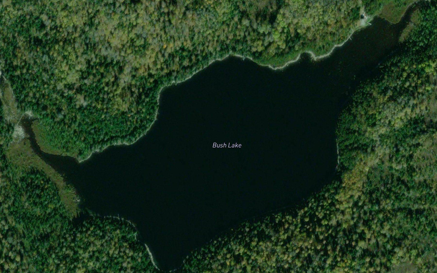 Satellite map of the Bush Lake