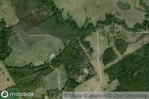 Moss Springs Branch