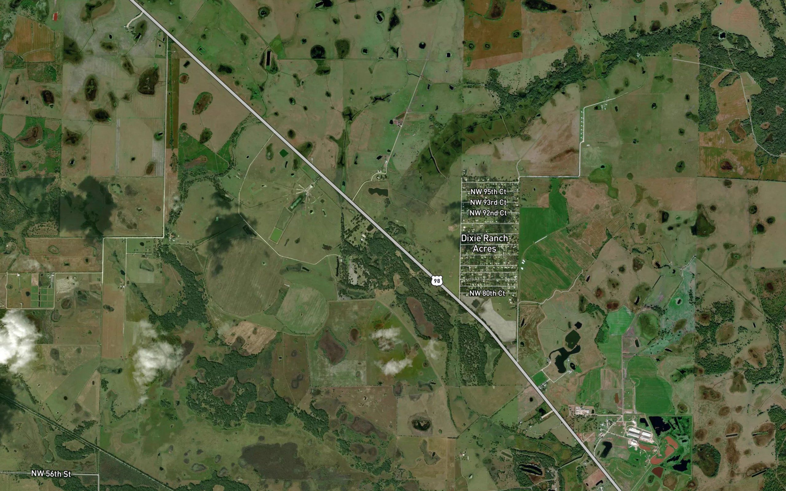 Chandler Hammock Slough