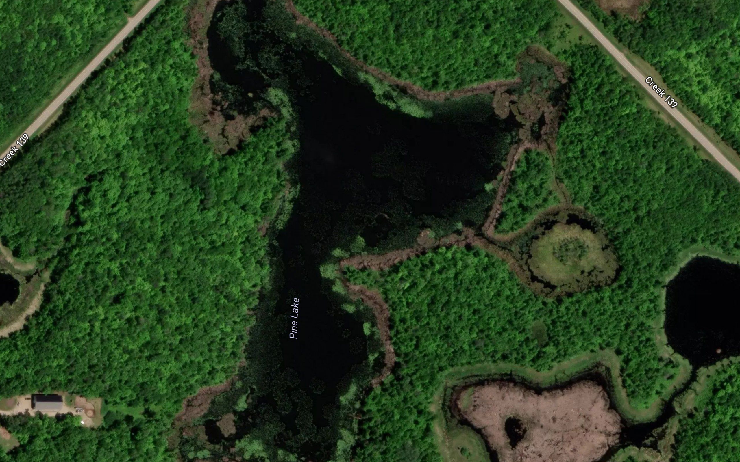 Pine Lake