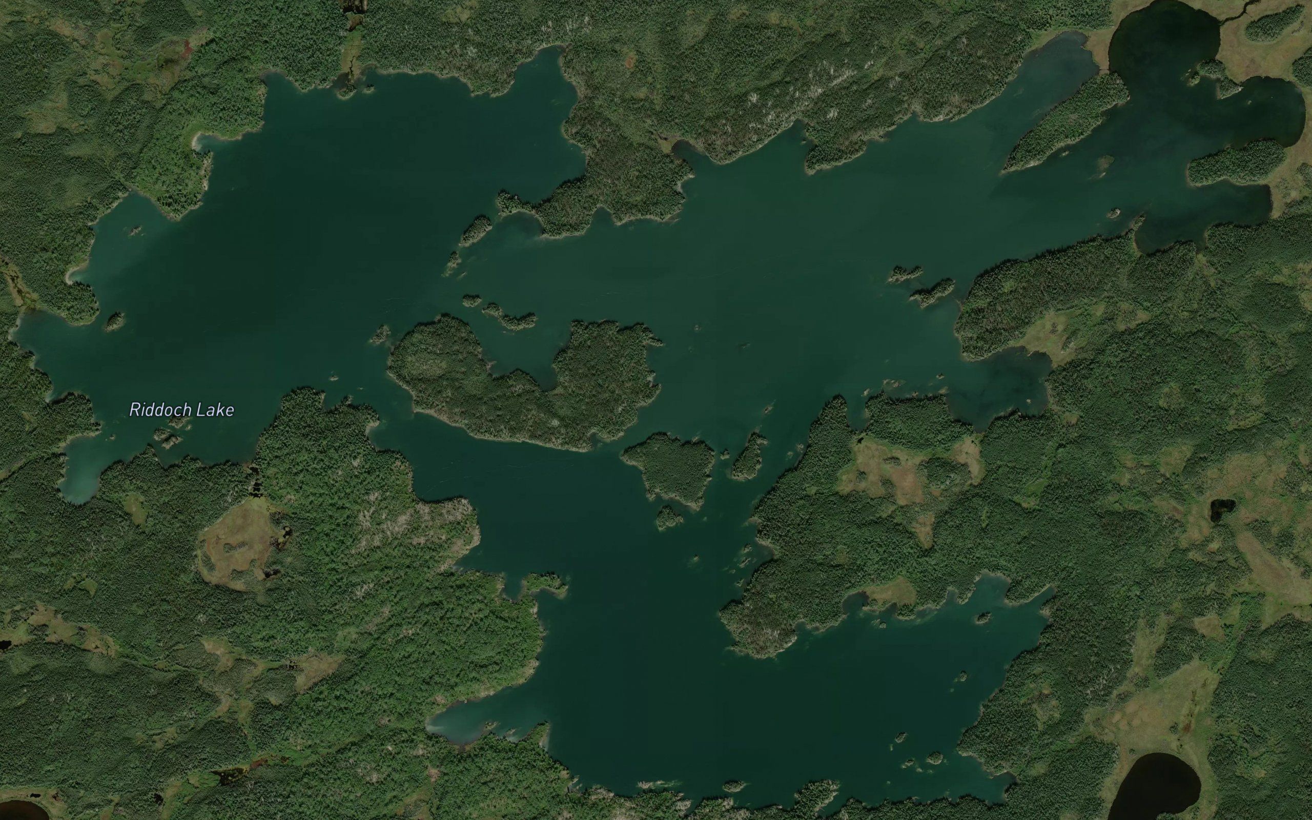 Riddoch Lake