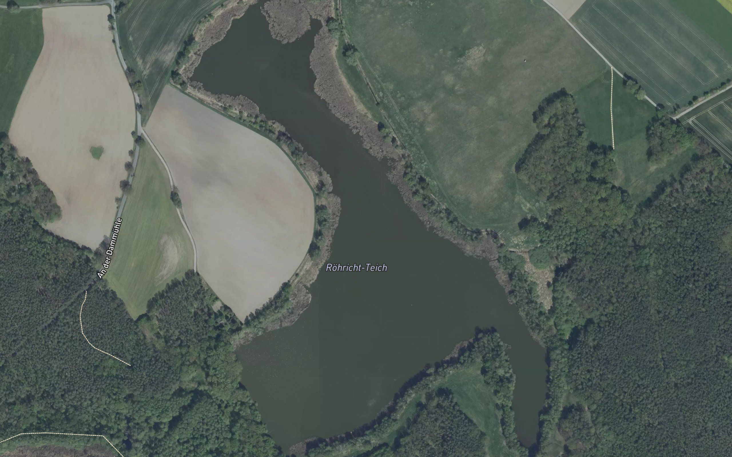 Rohricht-Teich