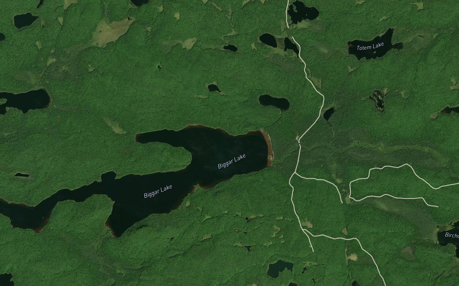 Satellite map of the Birchcliffe Creek