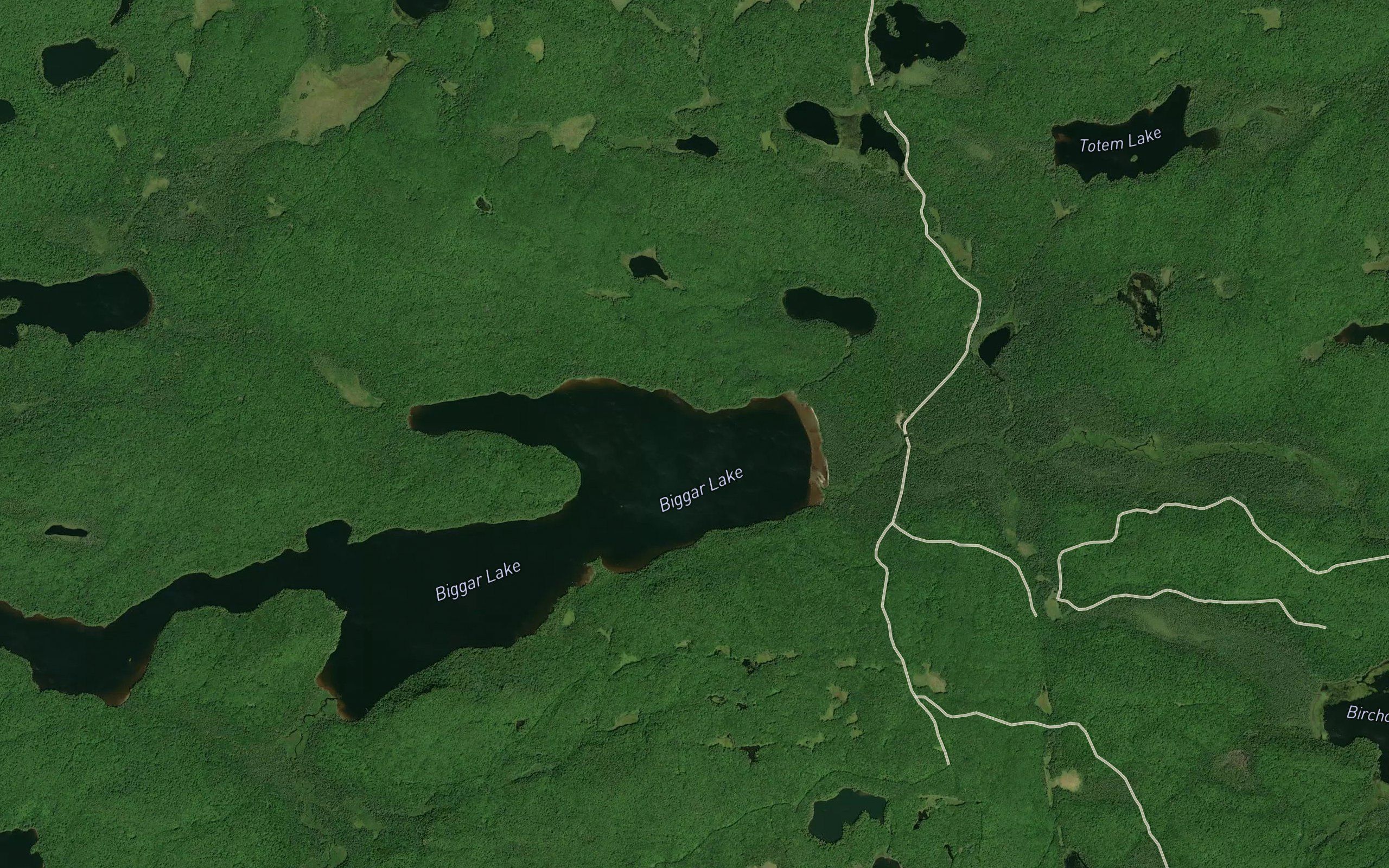 Birchcliffe Creek