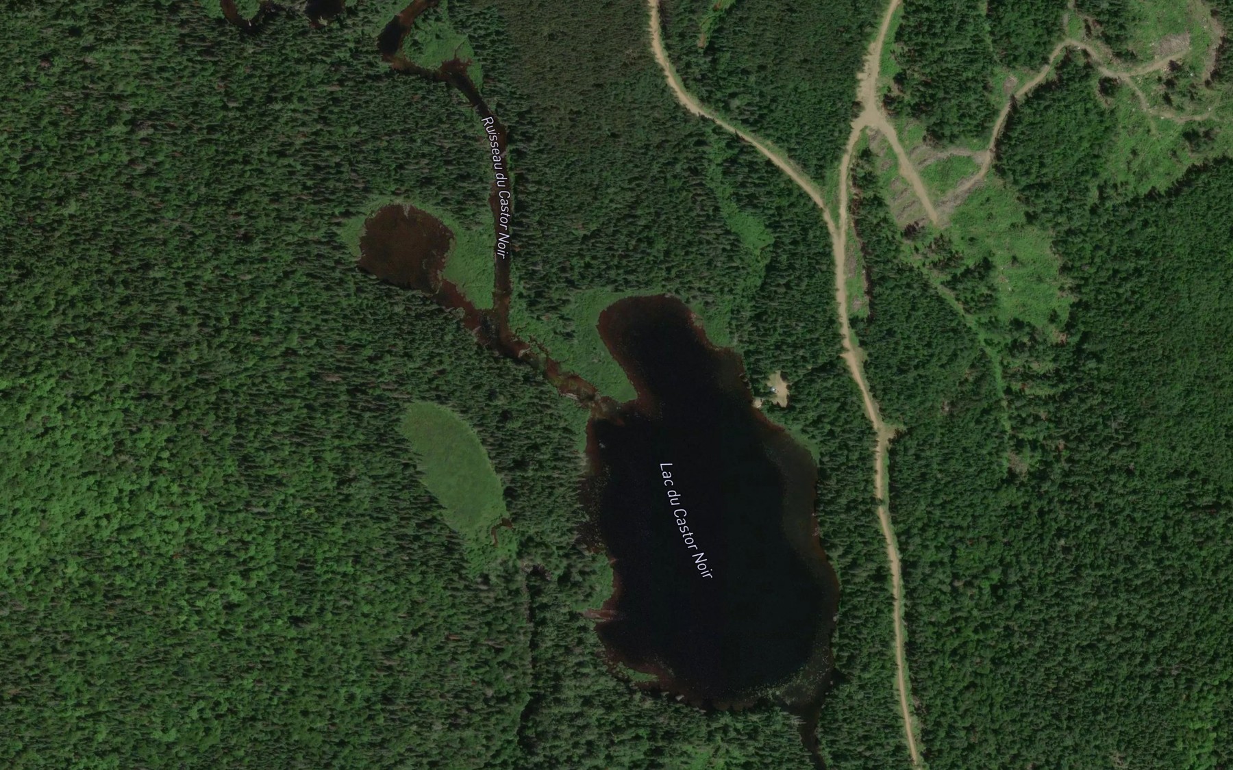 Satellite map of the Lac du Castor Noir