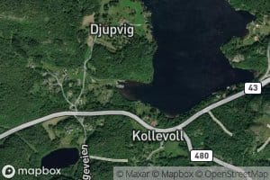 Kaleviga