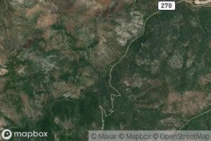 Yellow Jacket Spring