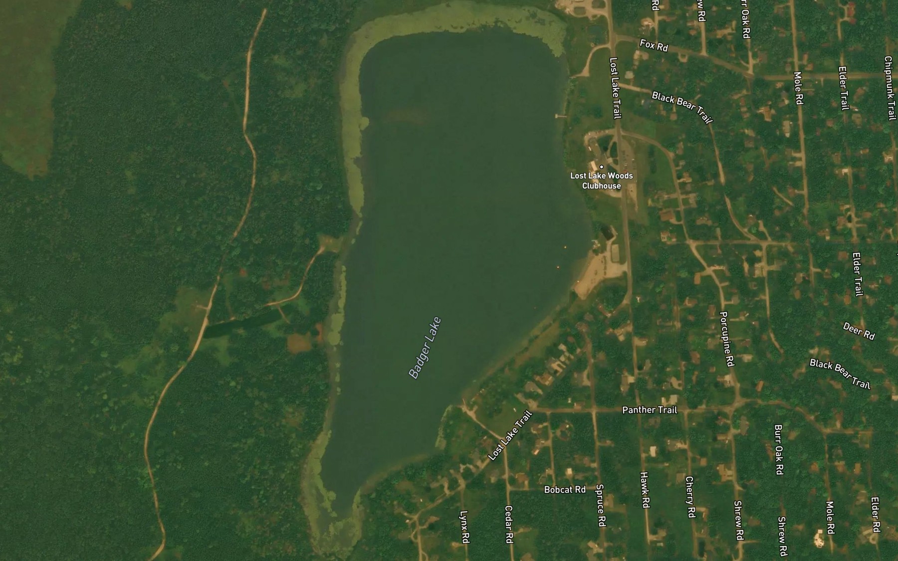 Satellite map of the Badger Lake