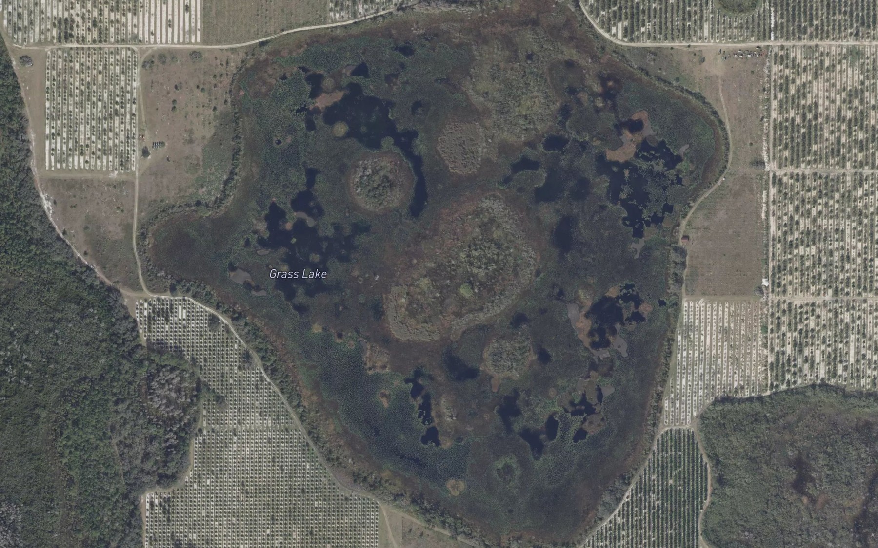 Satellite map of the Grass Lake
