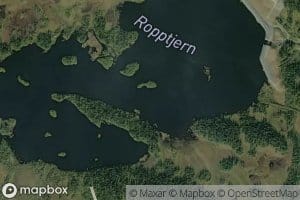 Ropptjorn