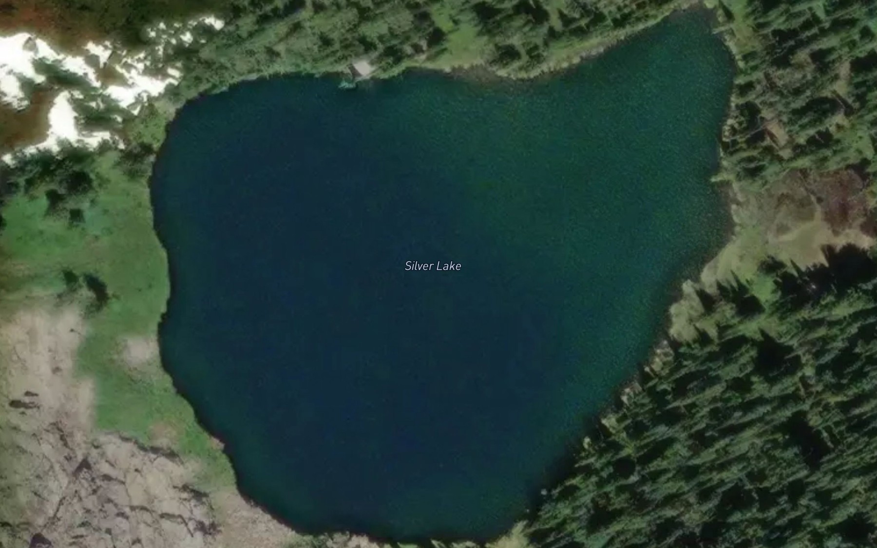 Satellite map of the Silver Lake