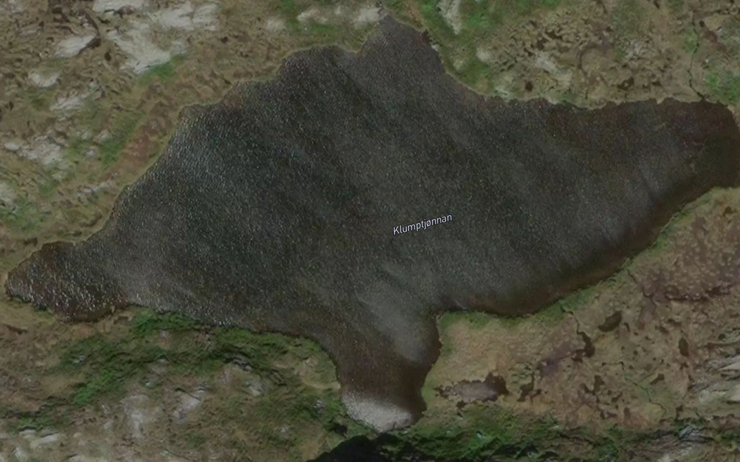 Klumptjornan