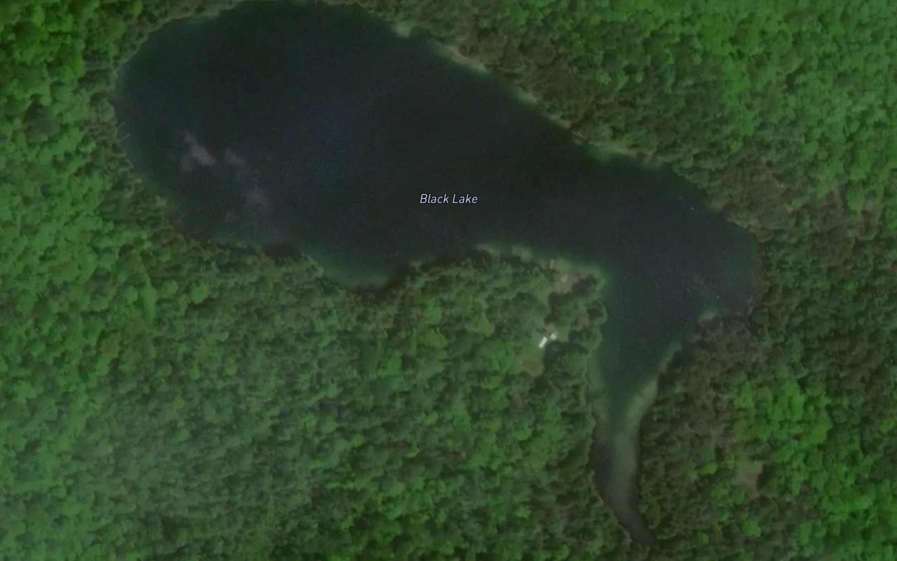 Satellite map of the Black Lake