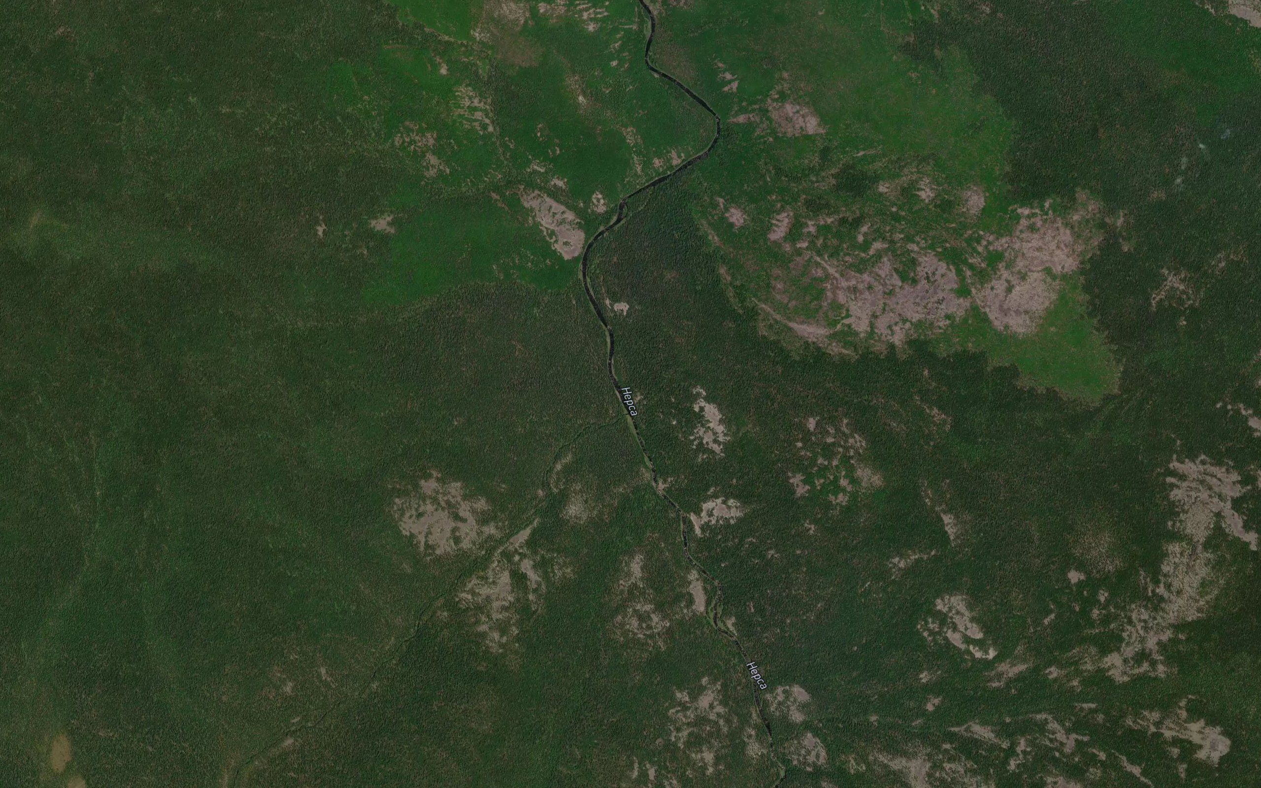 Bolotnaya