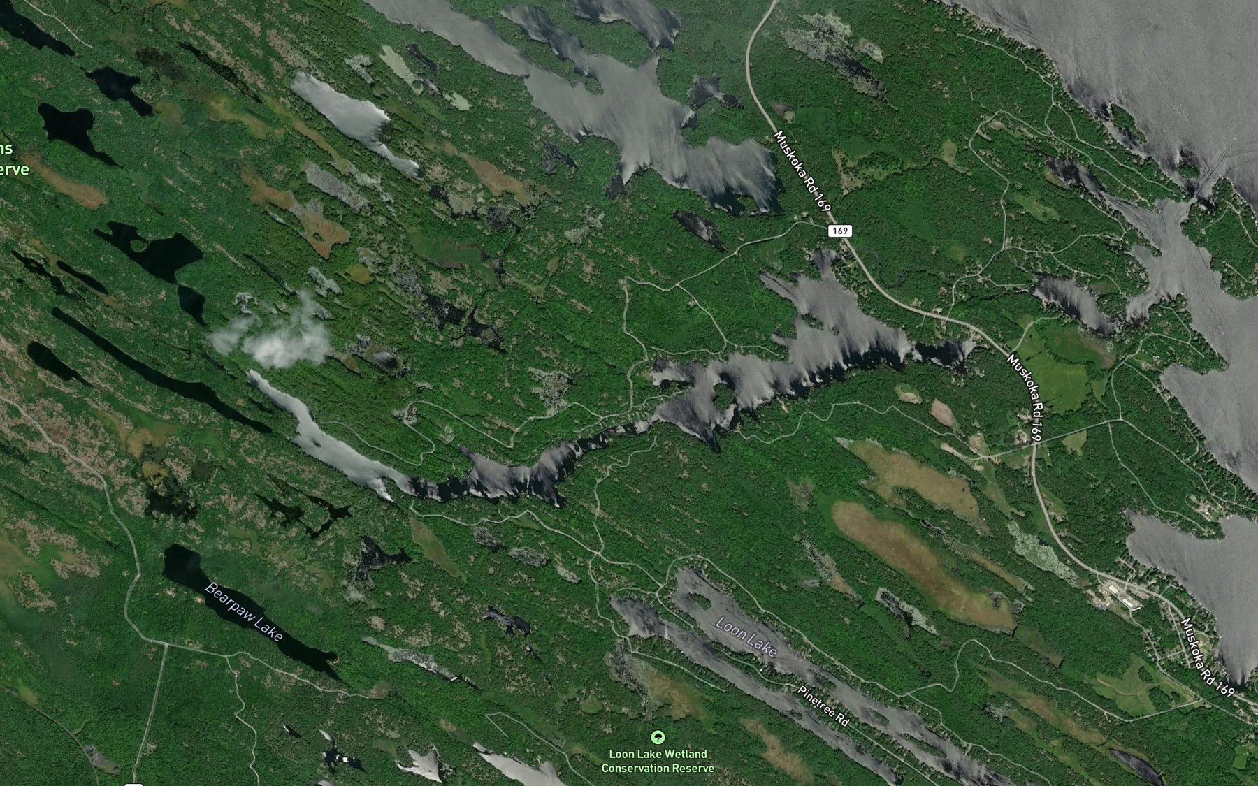 Satellite map of the Pine Lake