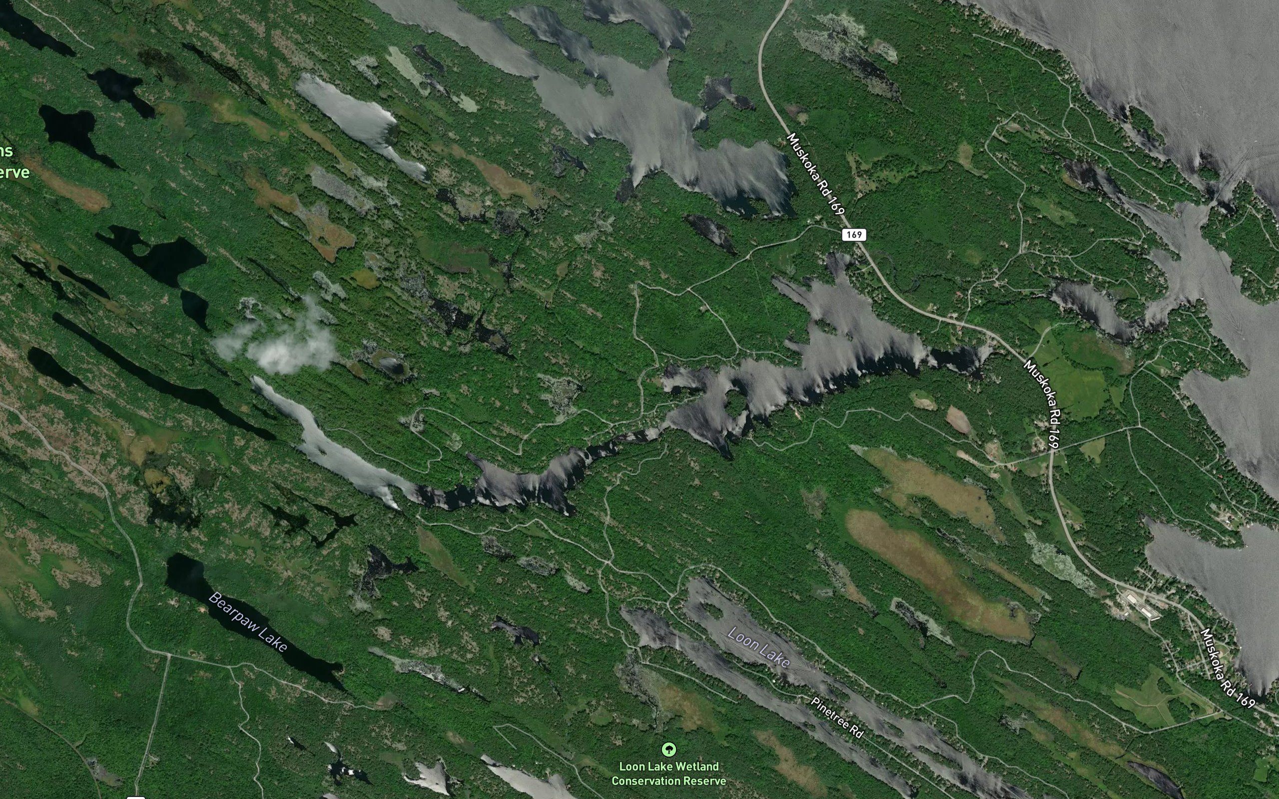 Pine Lake
