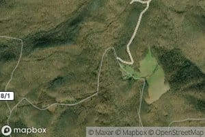 Russell Haynes Spring