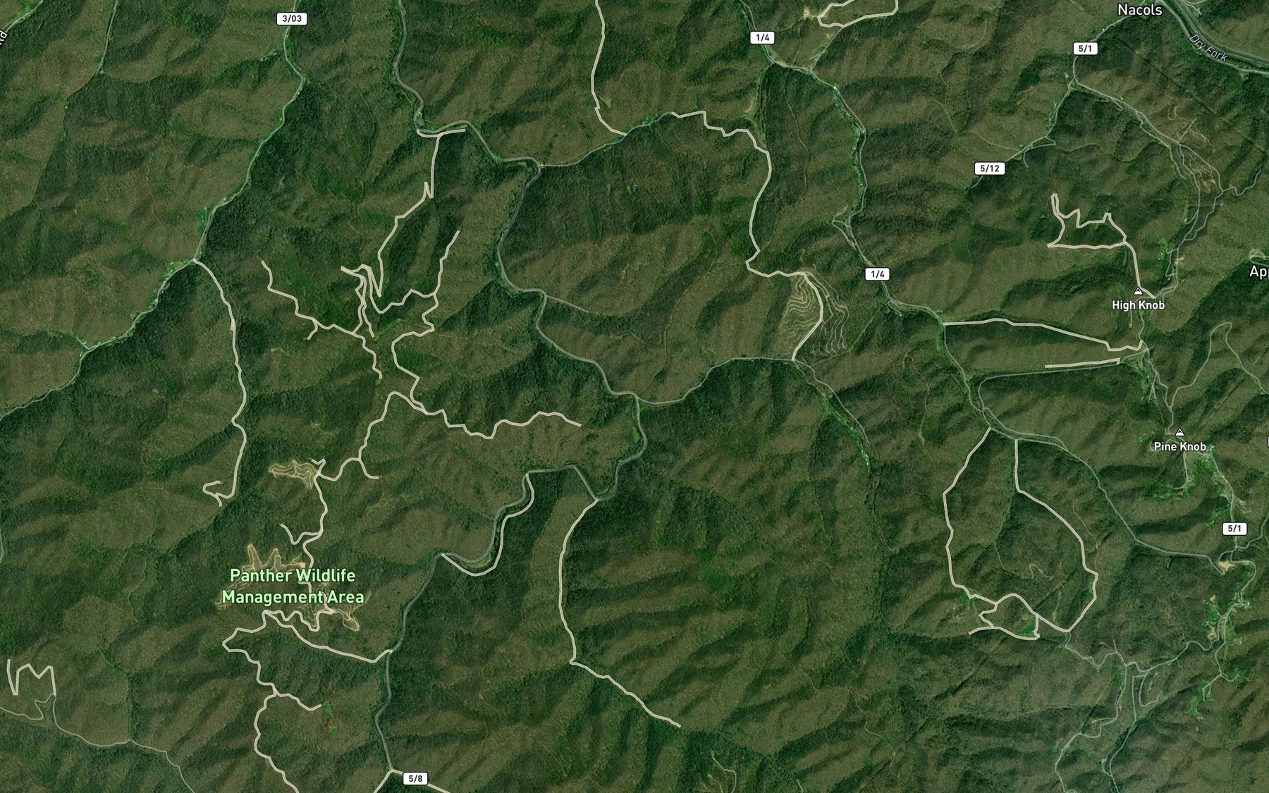 Satellite map of the George Branch