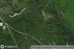 Mosquito Brook