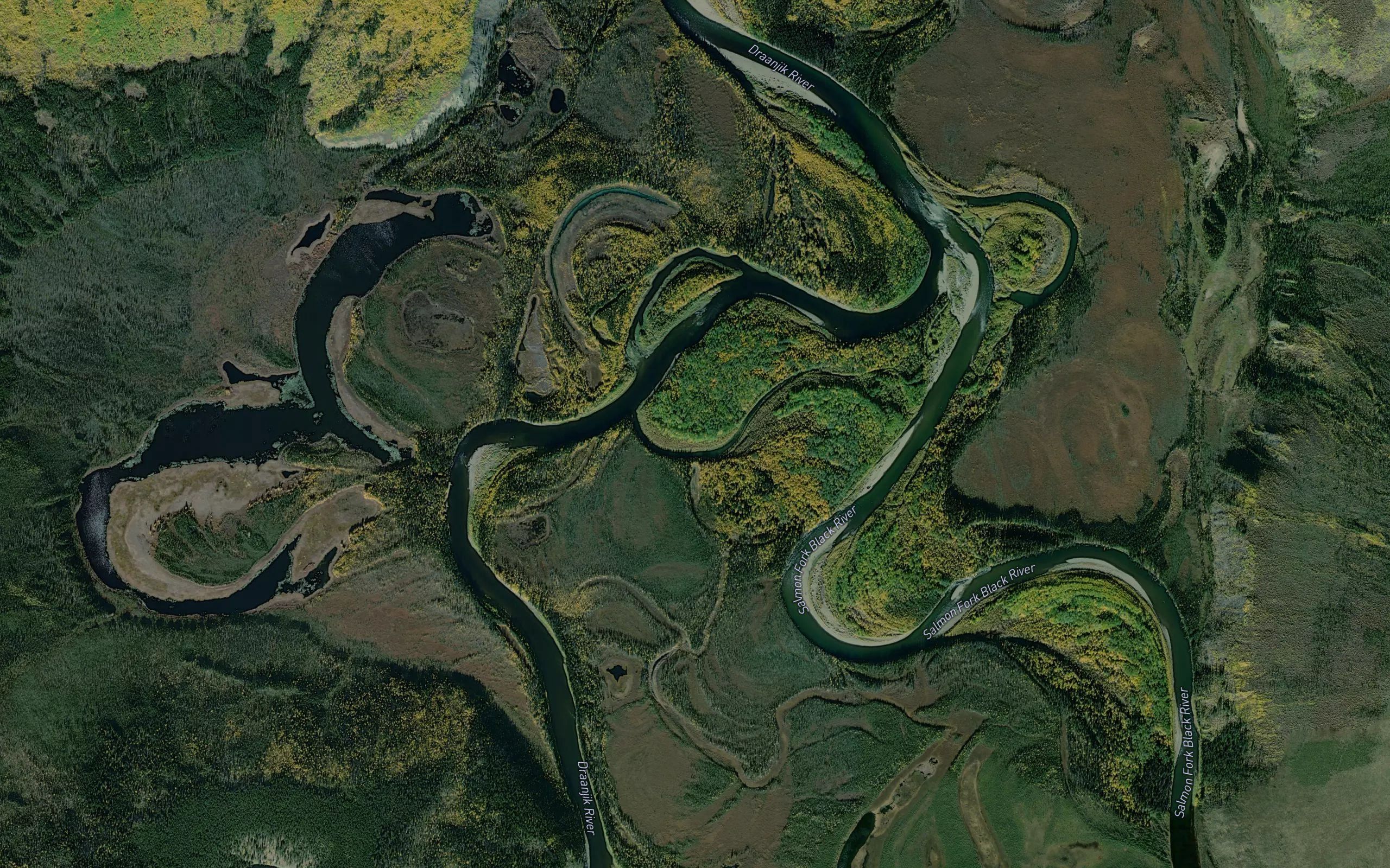 Salmon Fork