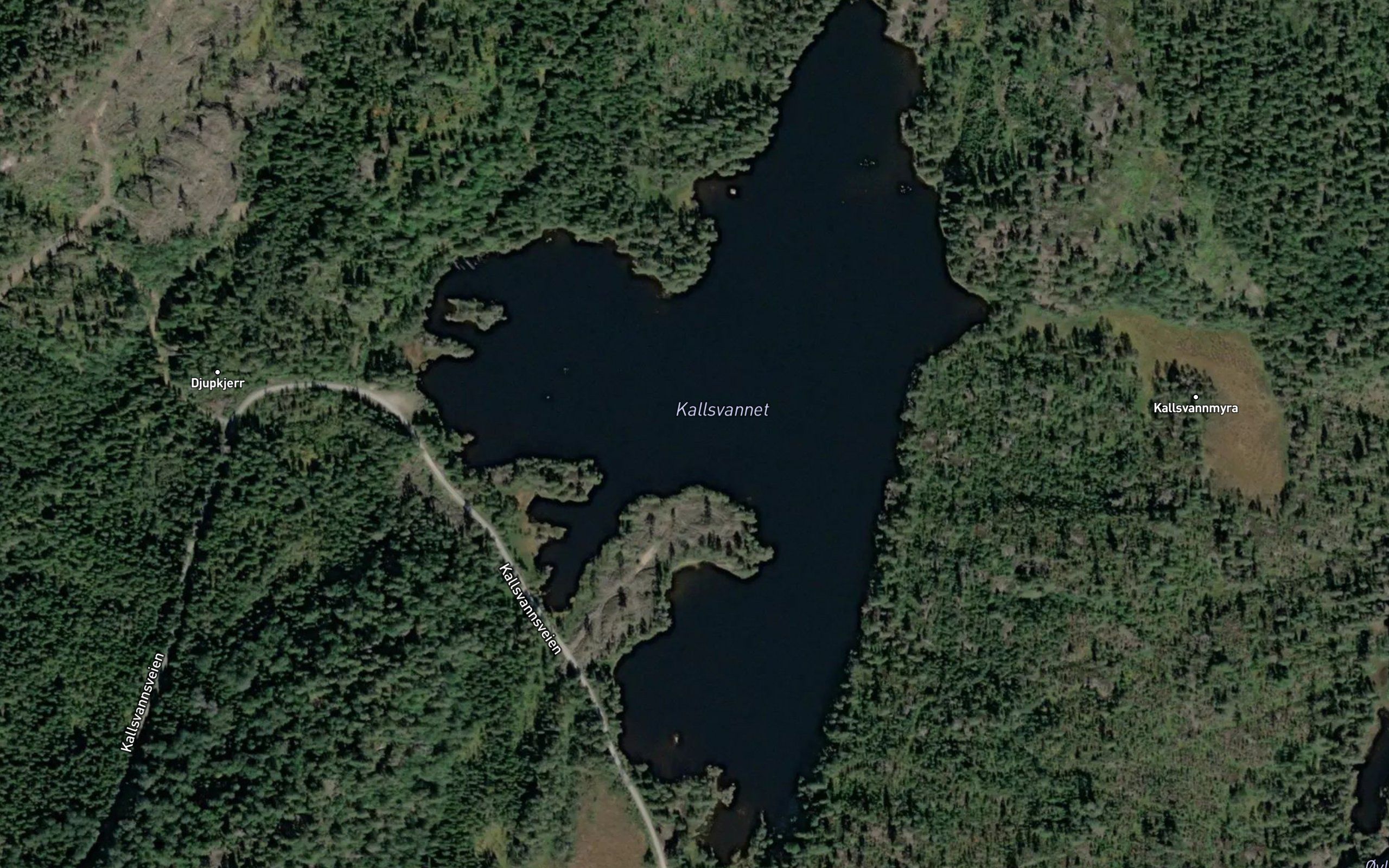 Kallsvatnet