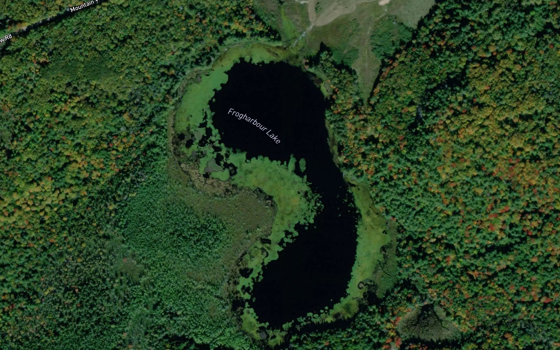 Satellite map of the Frogharbour Lake