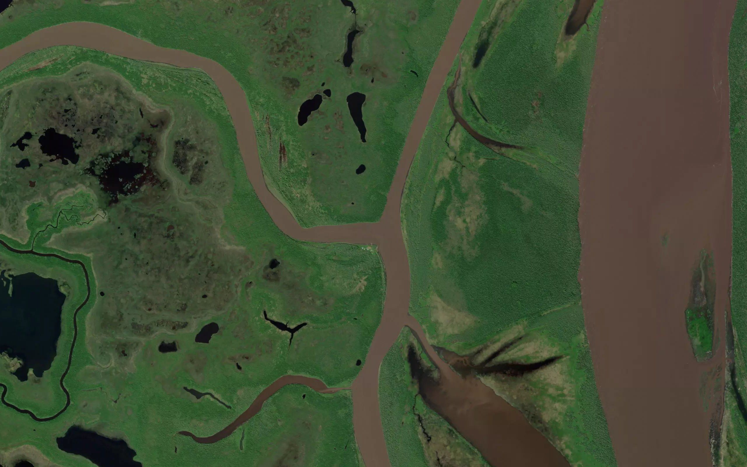 Kwikpakak Slough