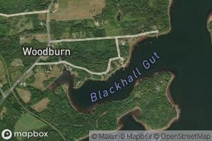 Blackhall Gut
