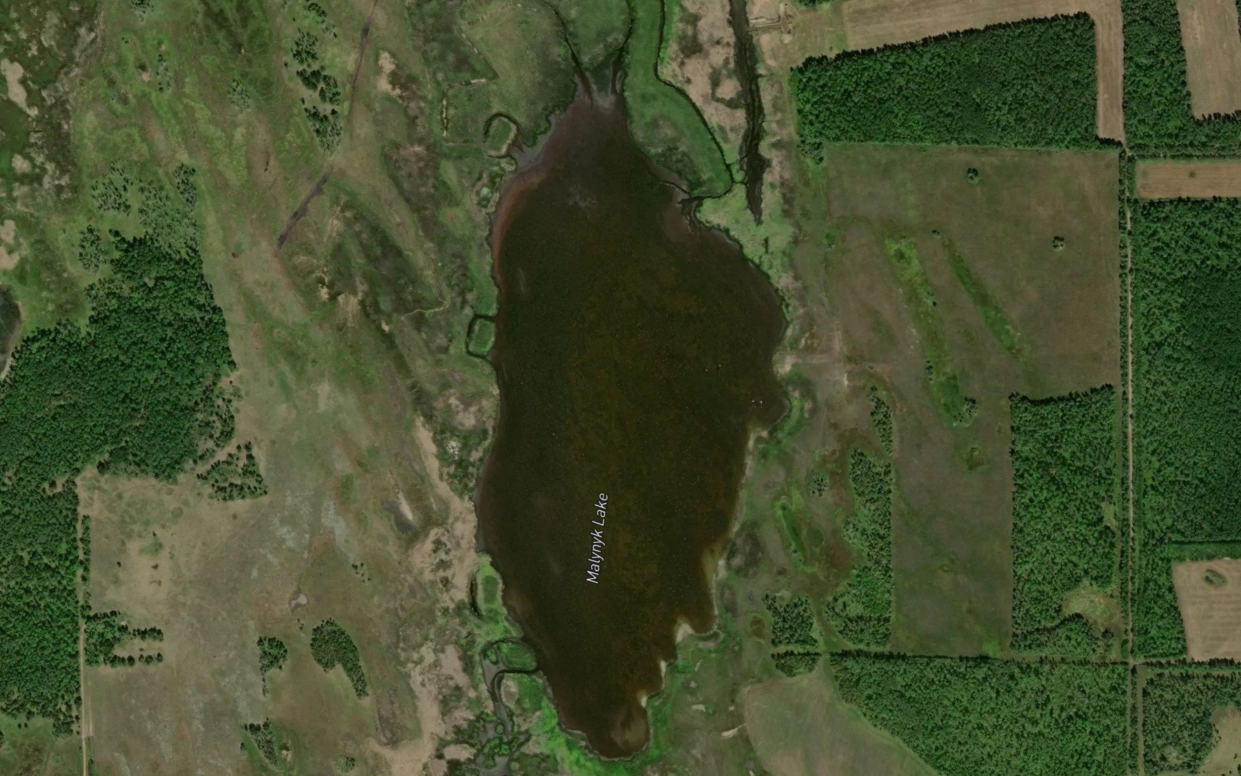 Satellite map of the Malynyk Lake