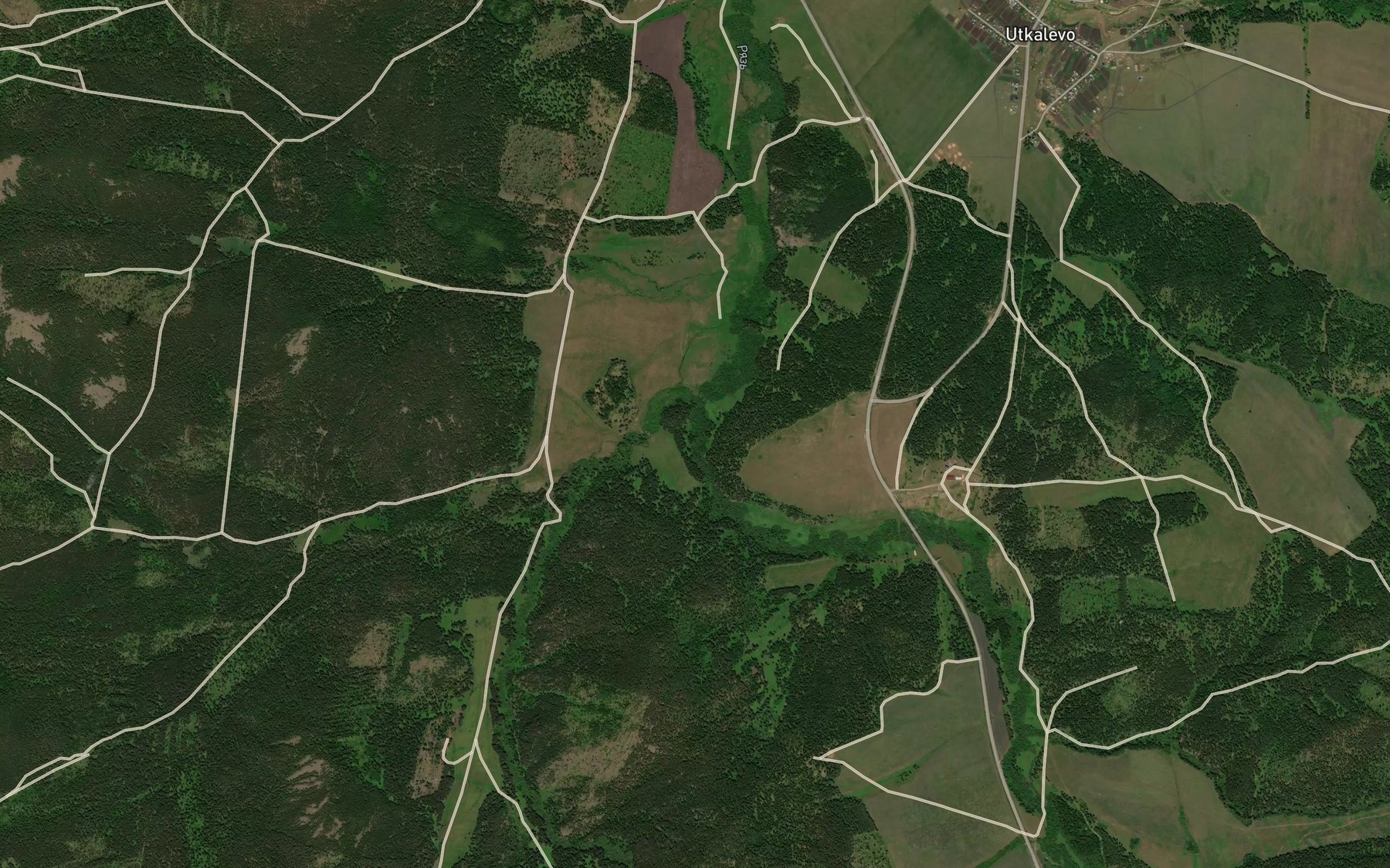 Satellite map of the Bol'shaya Ryaz'