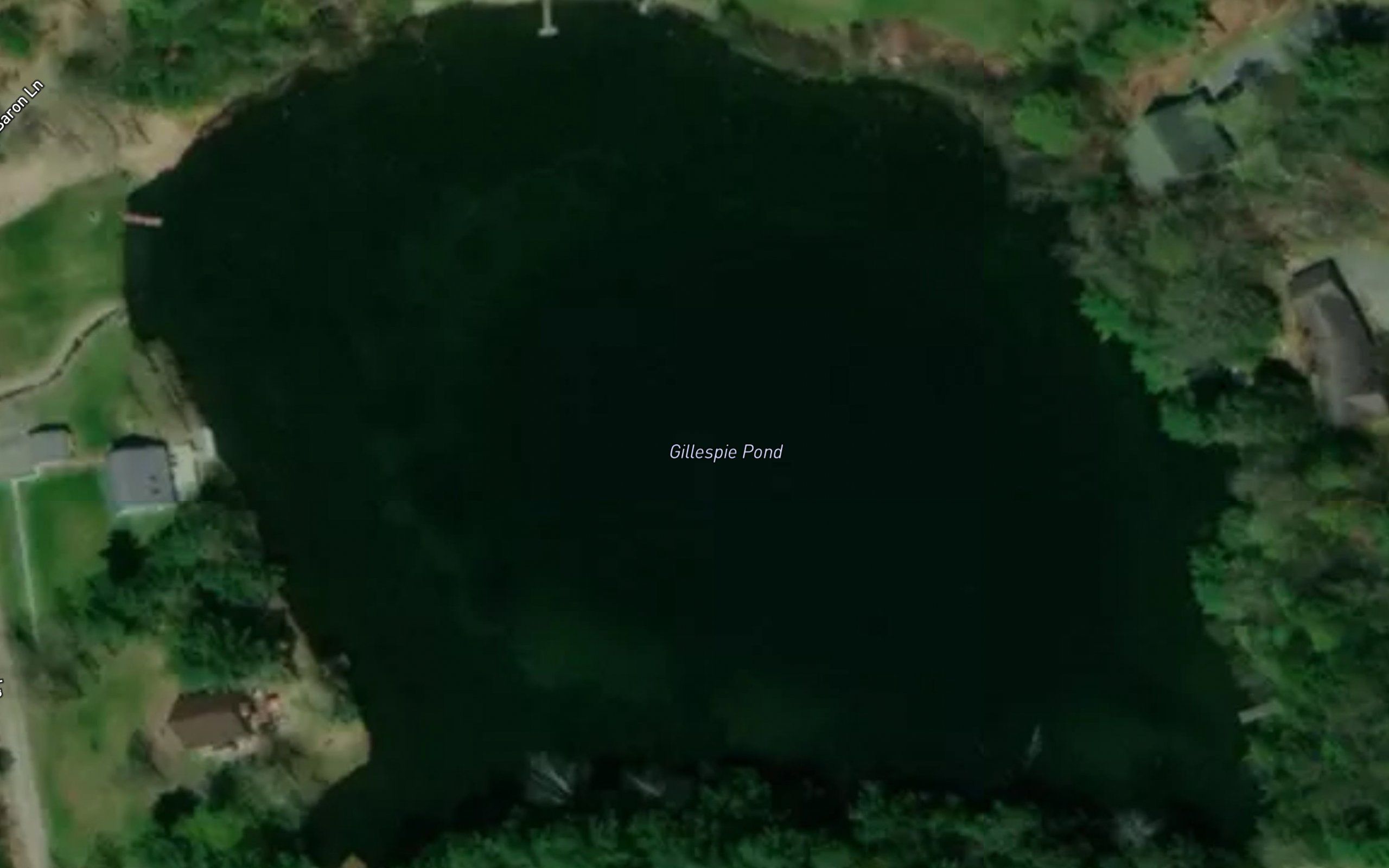 Gillespie Pond