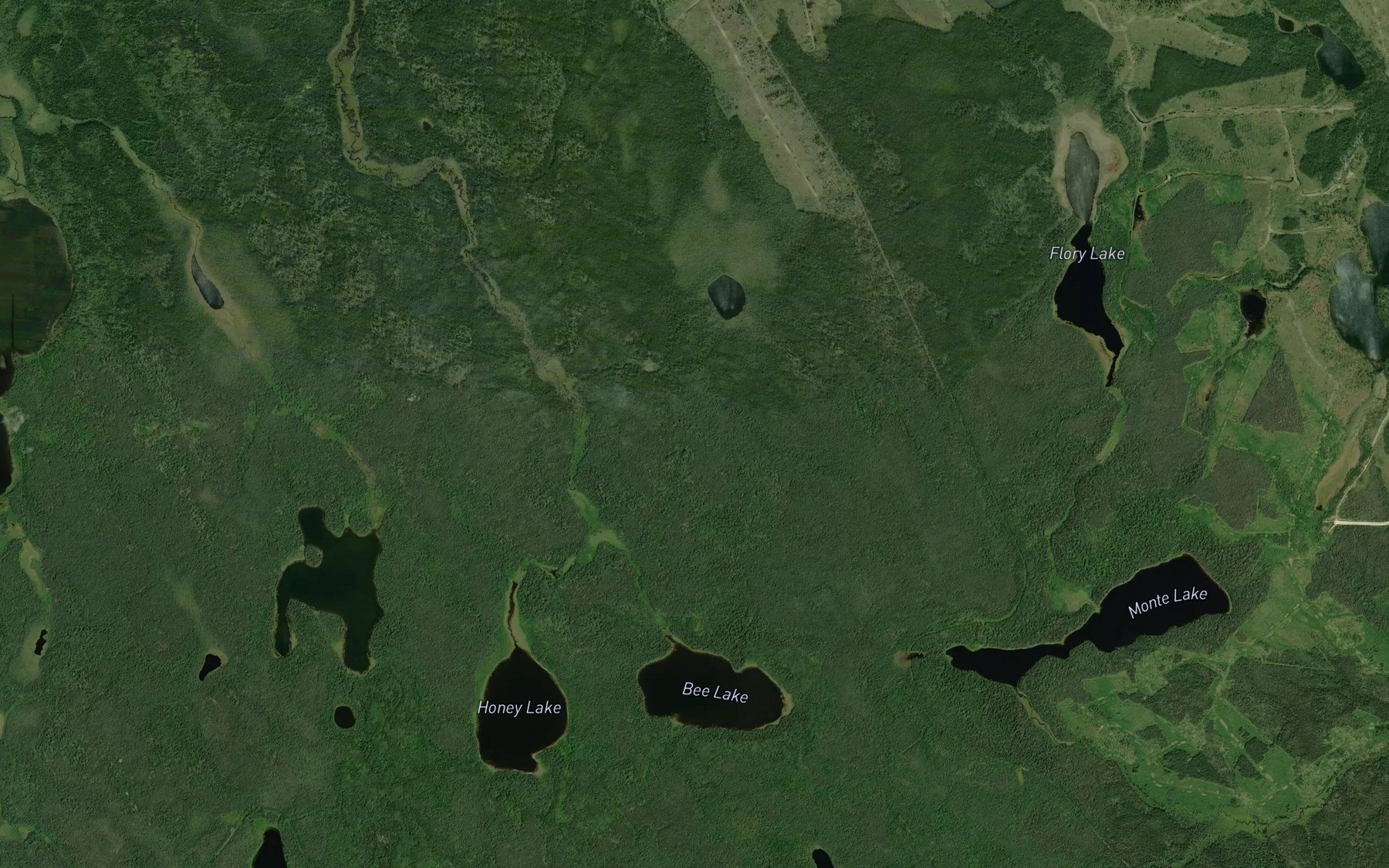 Satellite map of the Bee Creek