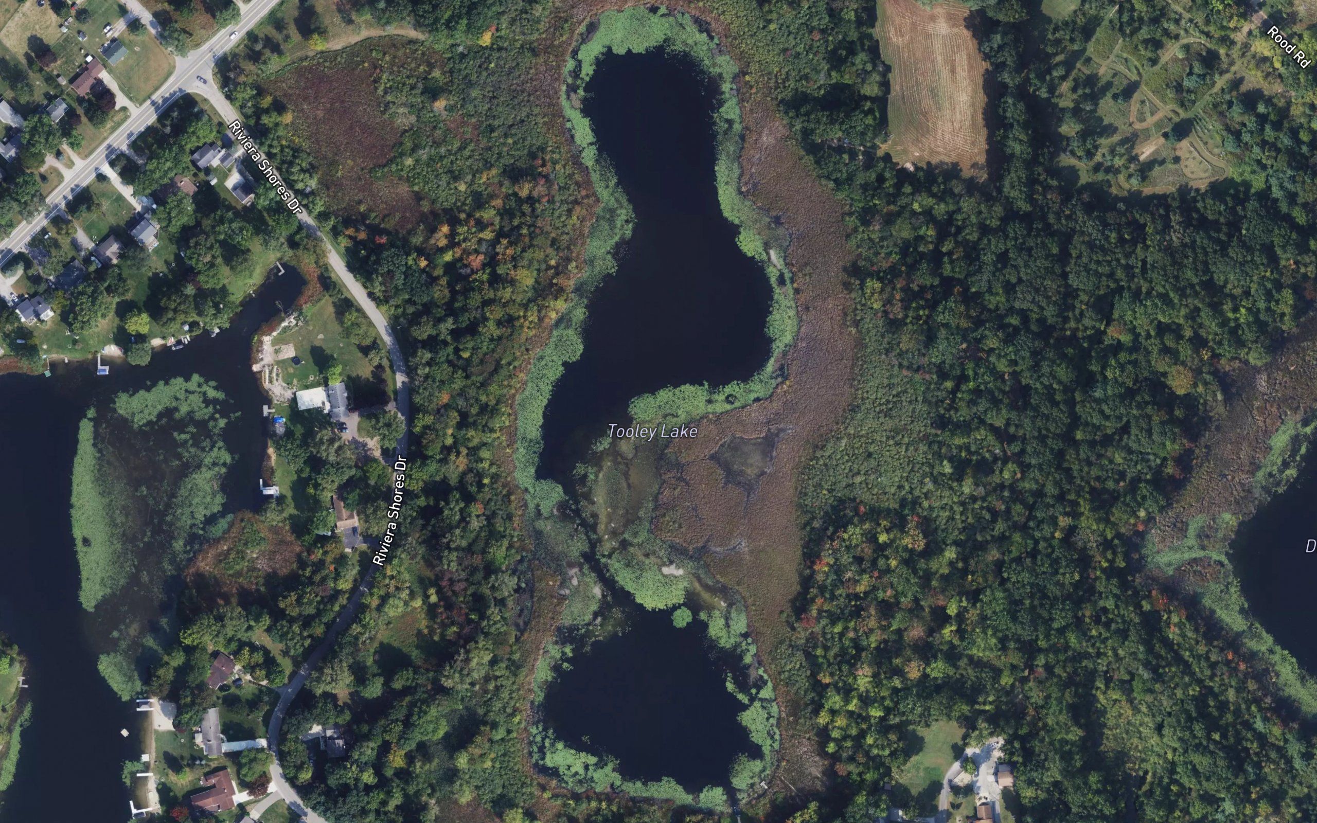Tooley Lake