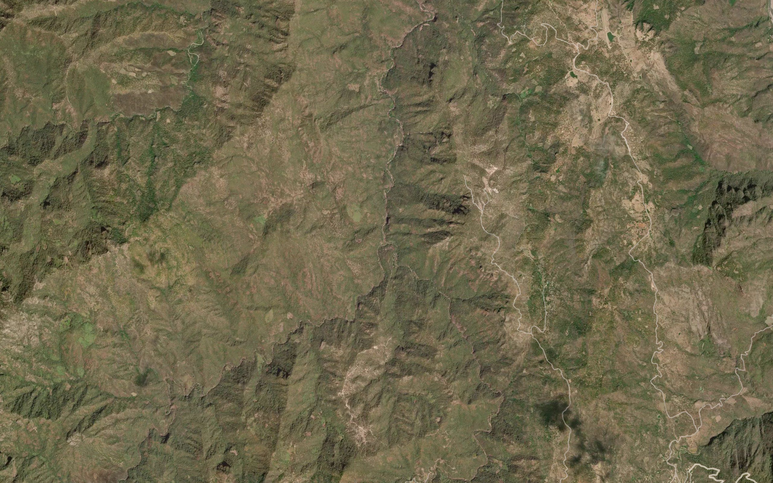 Arroyo Alisos