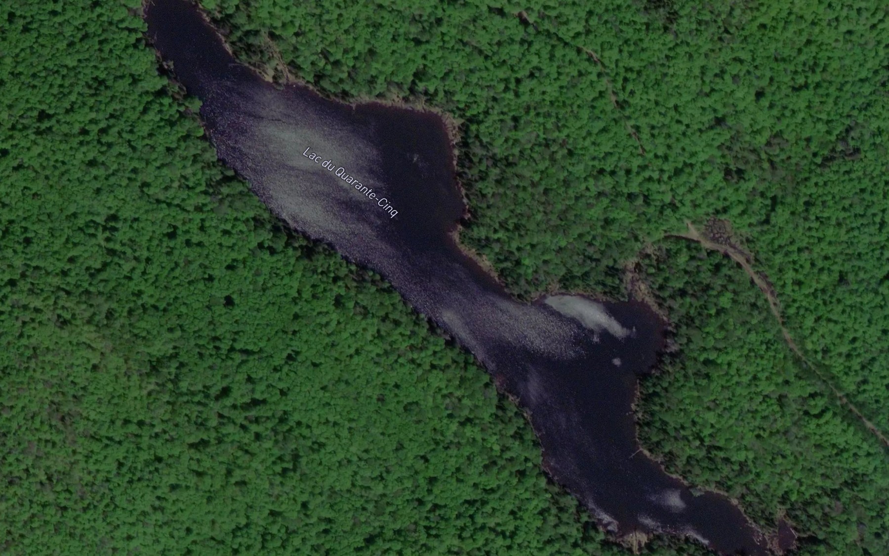 Satellite map of the Lac du Quarante-Cinq