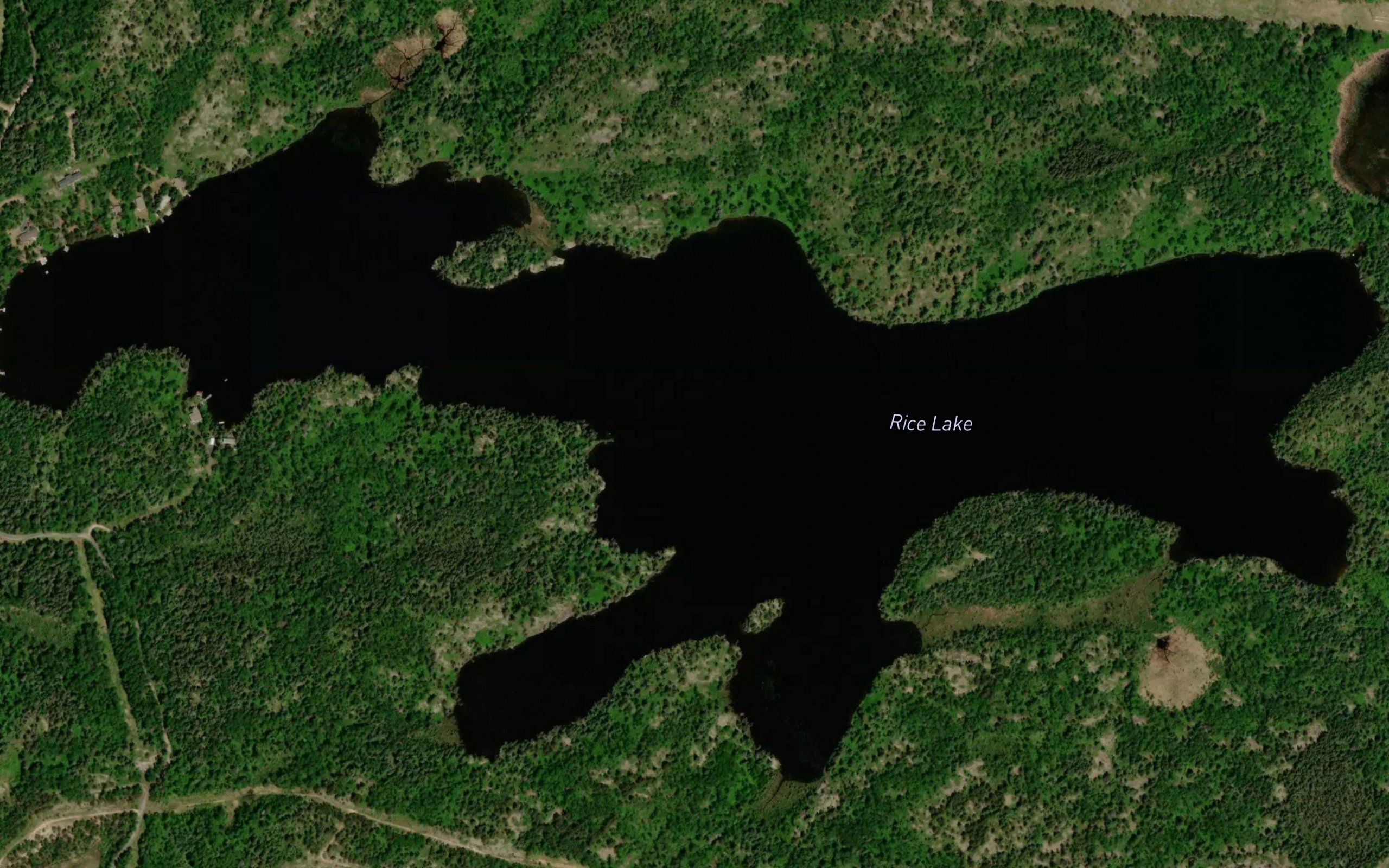 Rice Lake