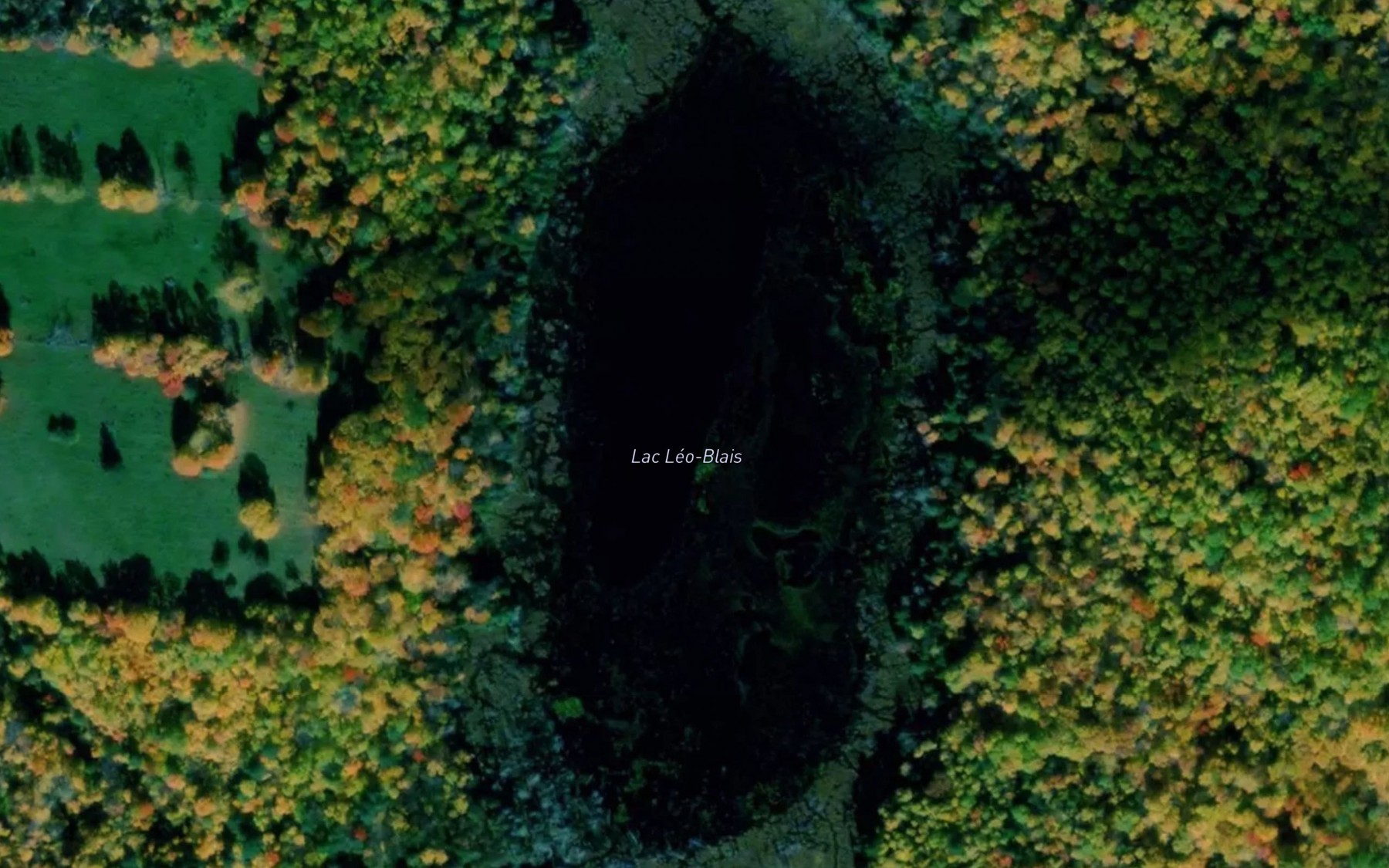 Satellite map of the Lac Leo-Blais