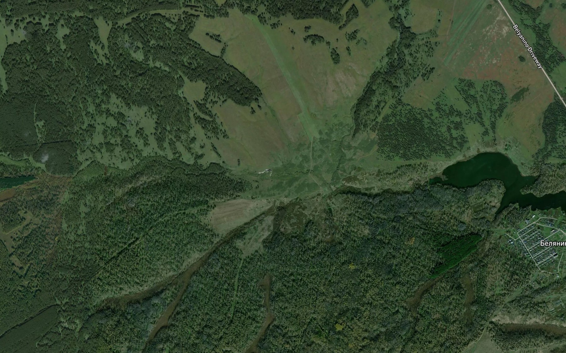 Satellite map of the Kamenka