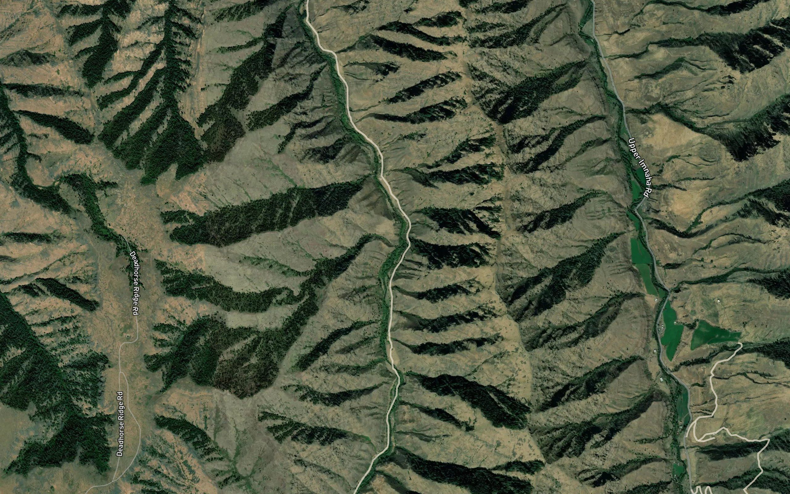 Steer Creek