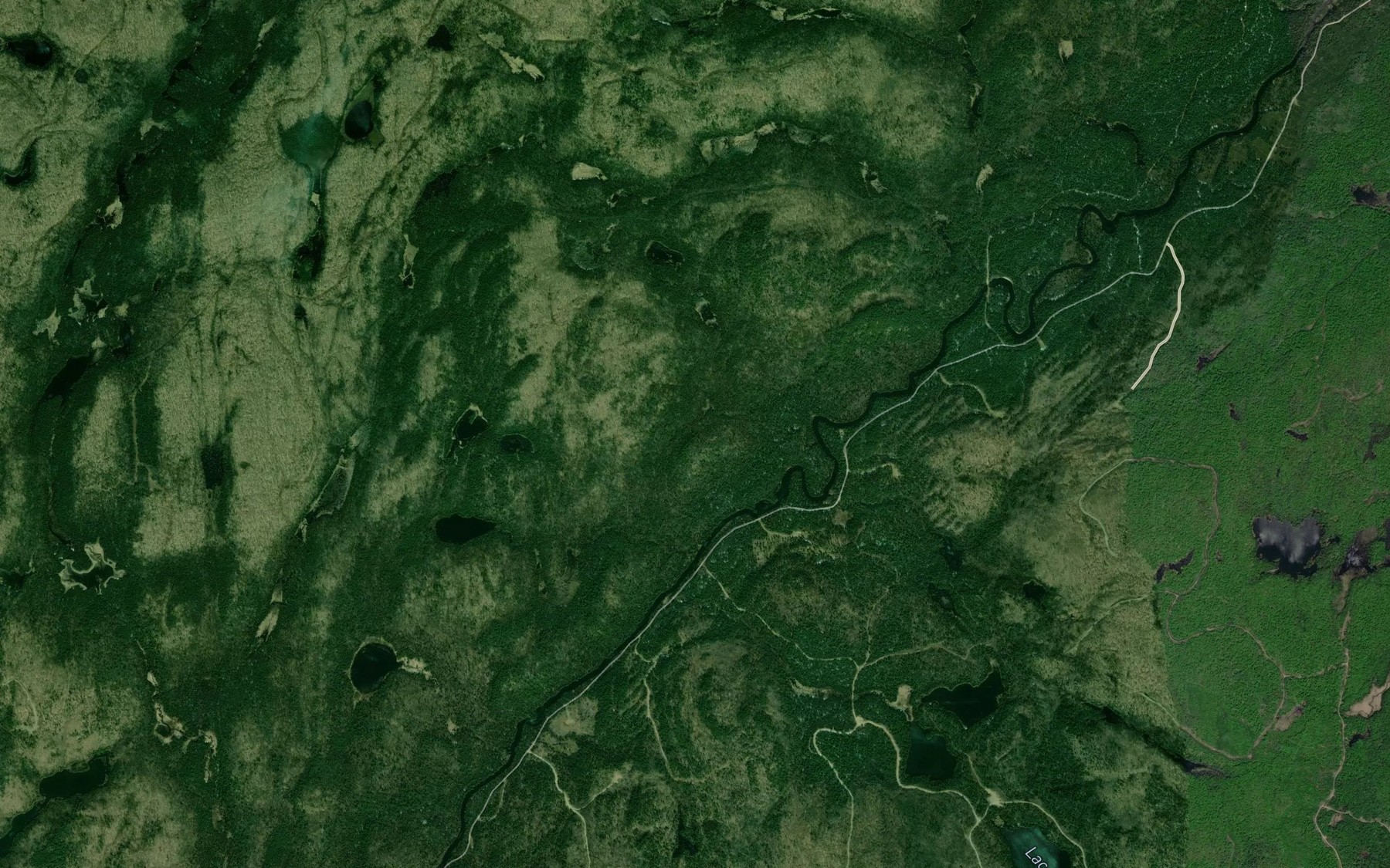 Satellite map of the Rapides Cayon