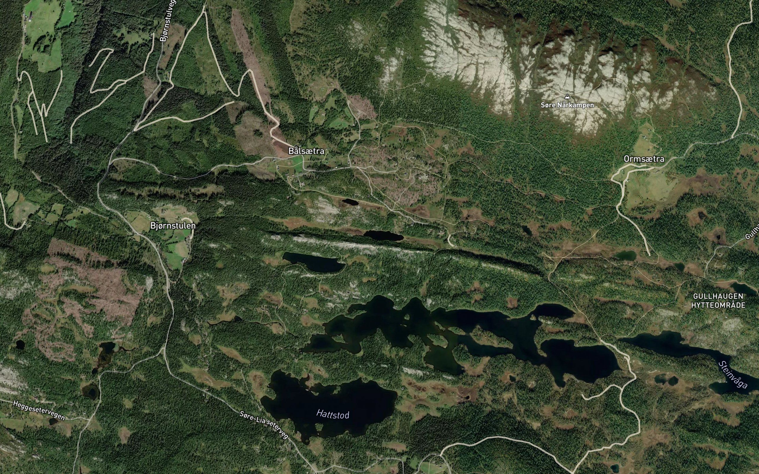 Langtjonna