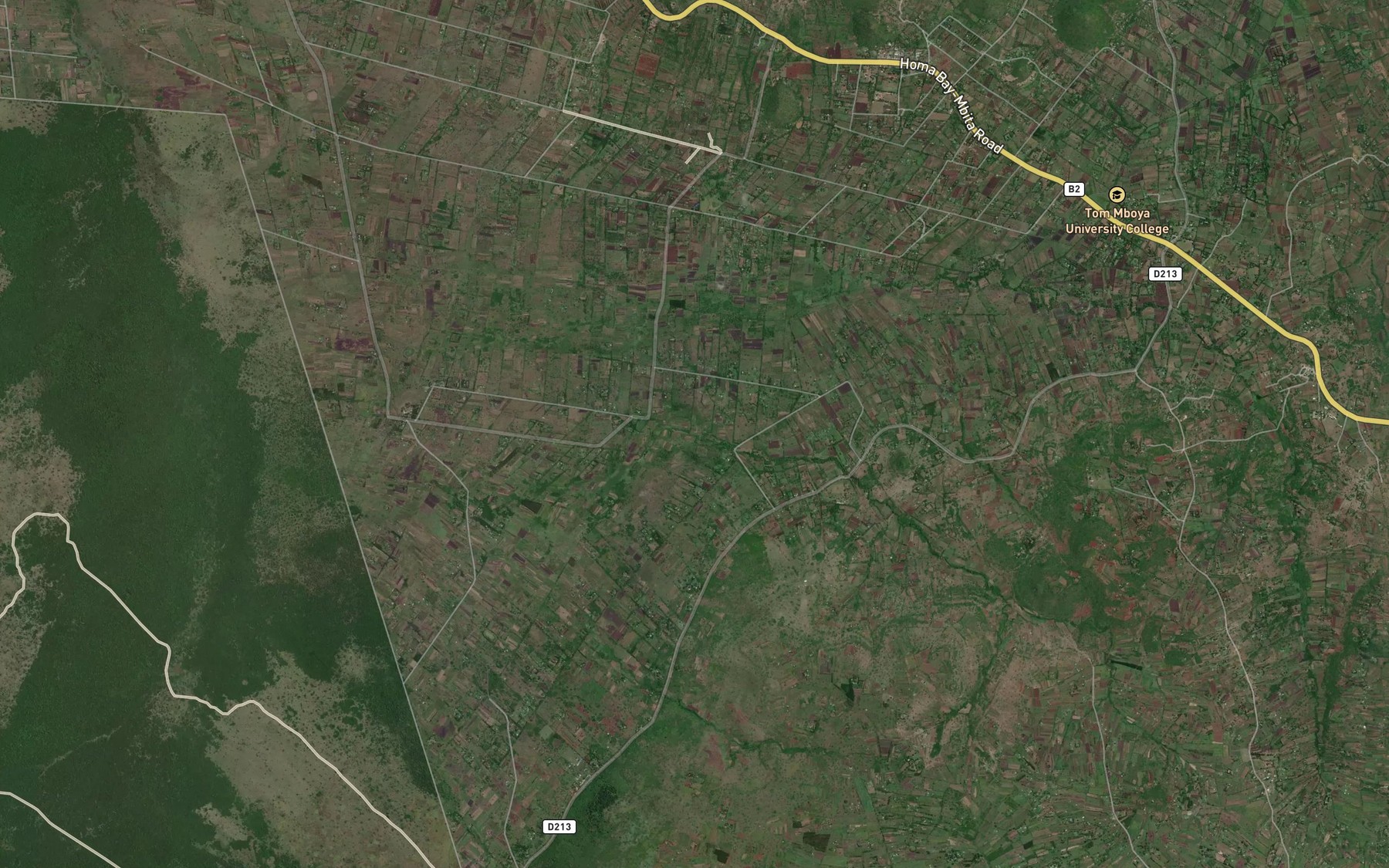 Satellite map of the Goyo
