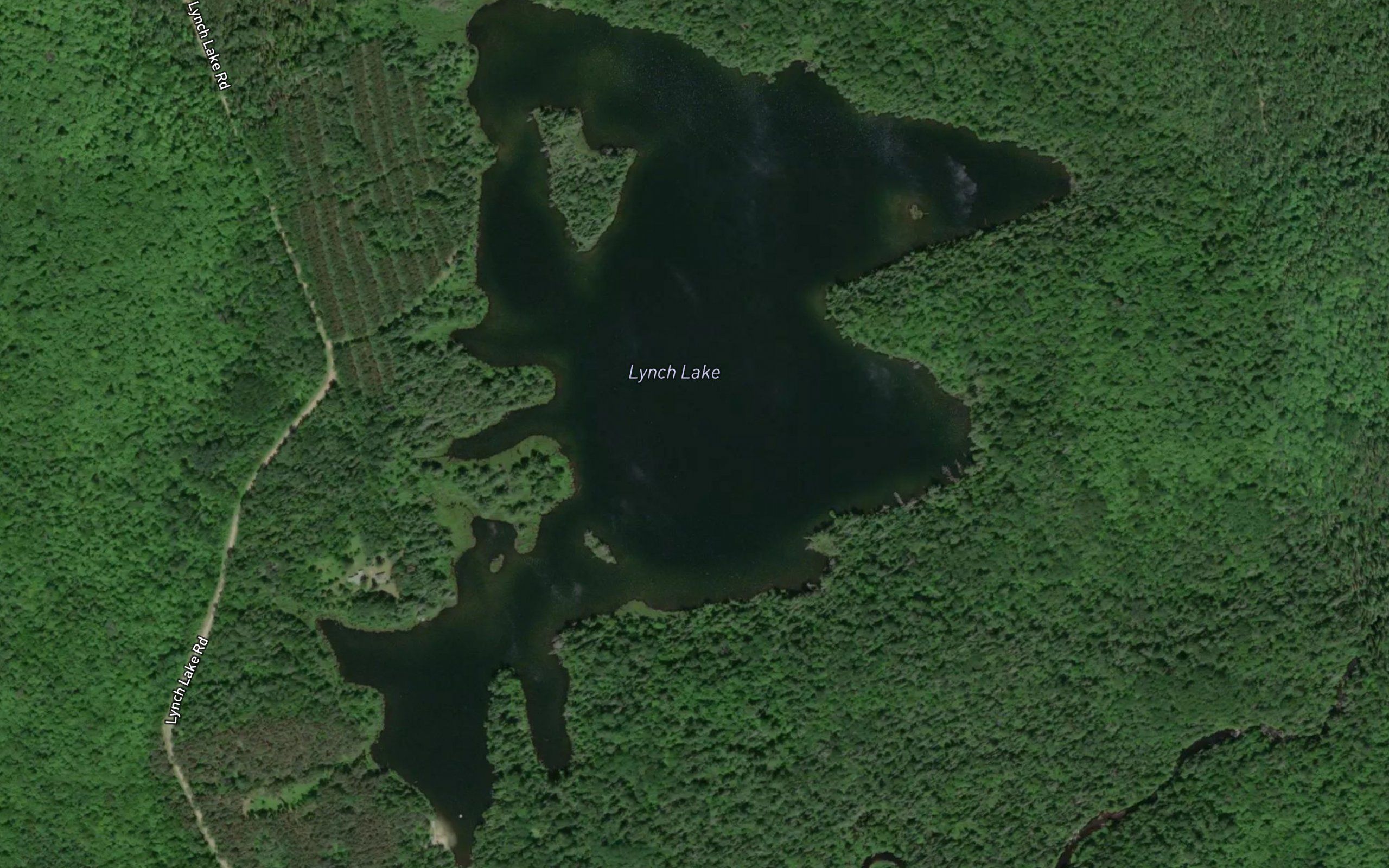 Lynch Lake