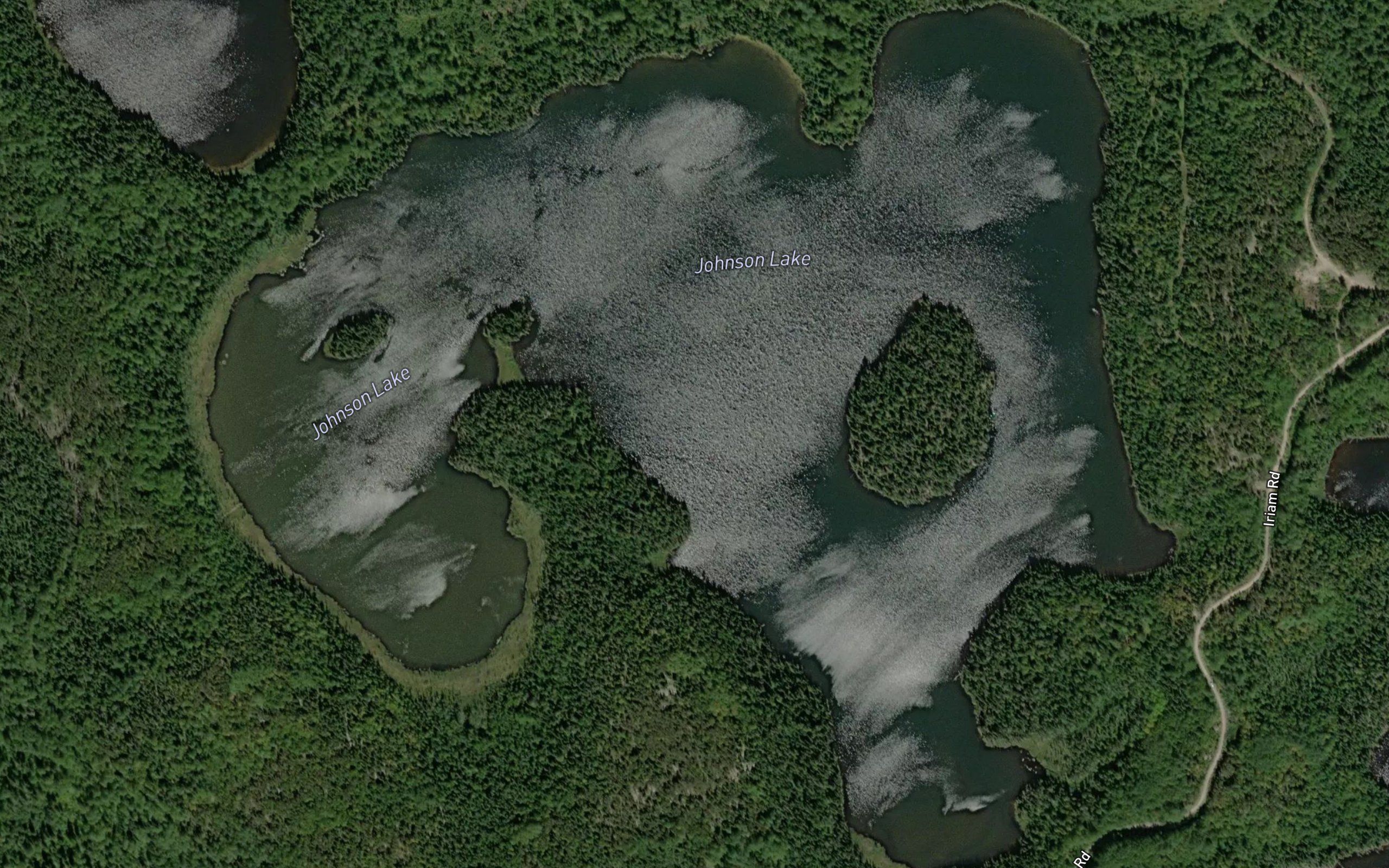 Johnson Lake