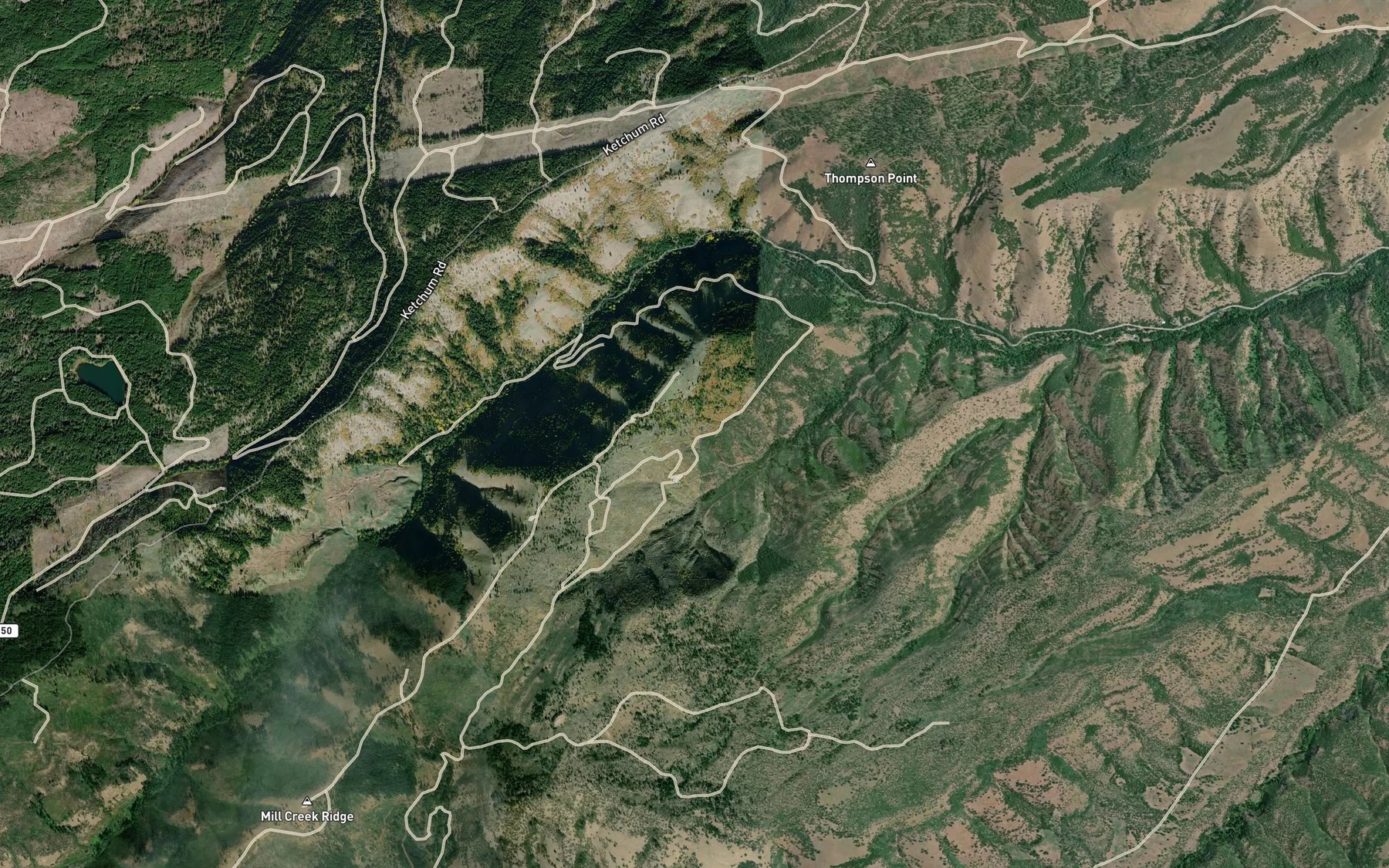 Satellite map of the Saddle Spring