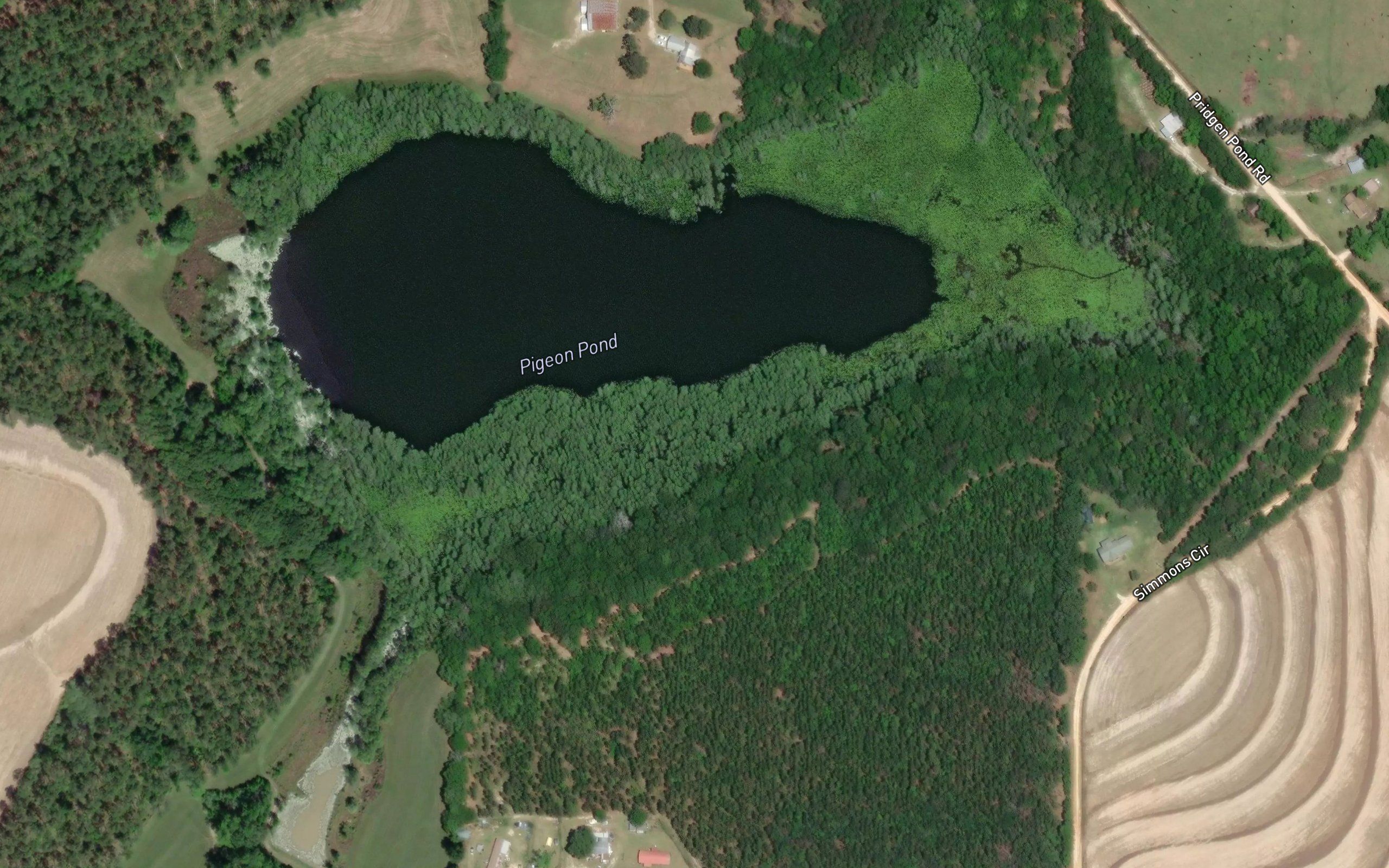 Pigeon Pond