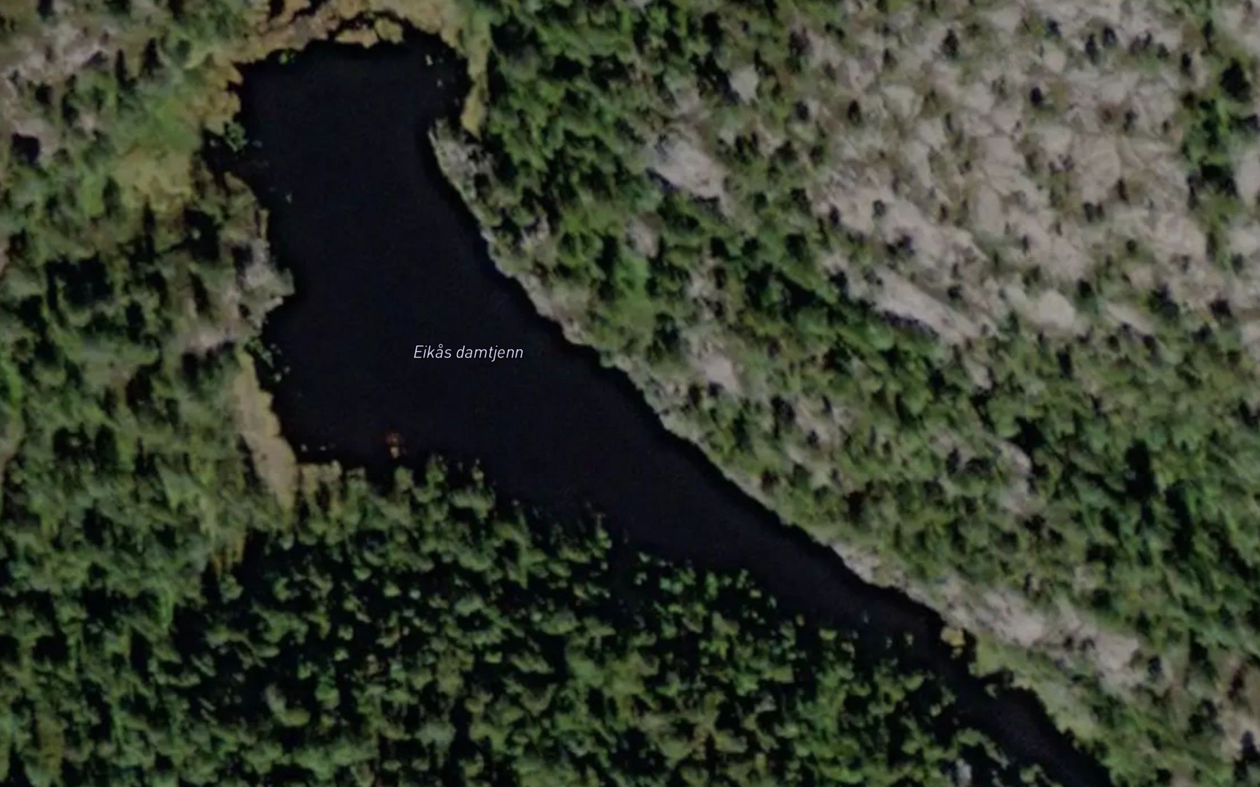 Eikas damtjenn