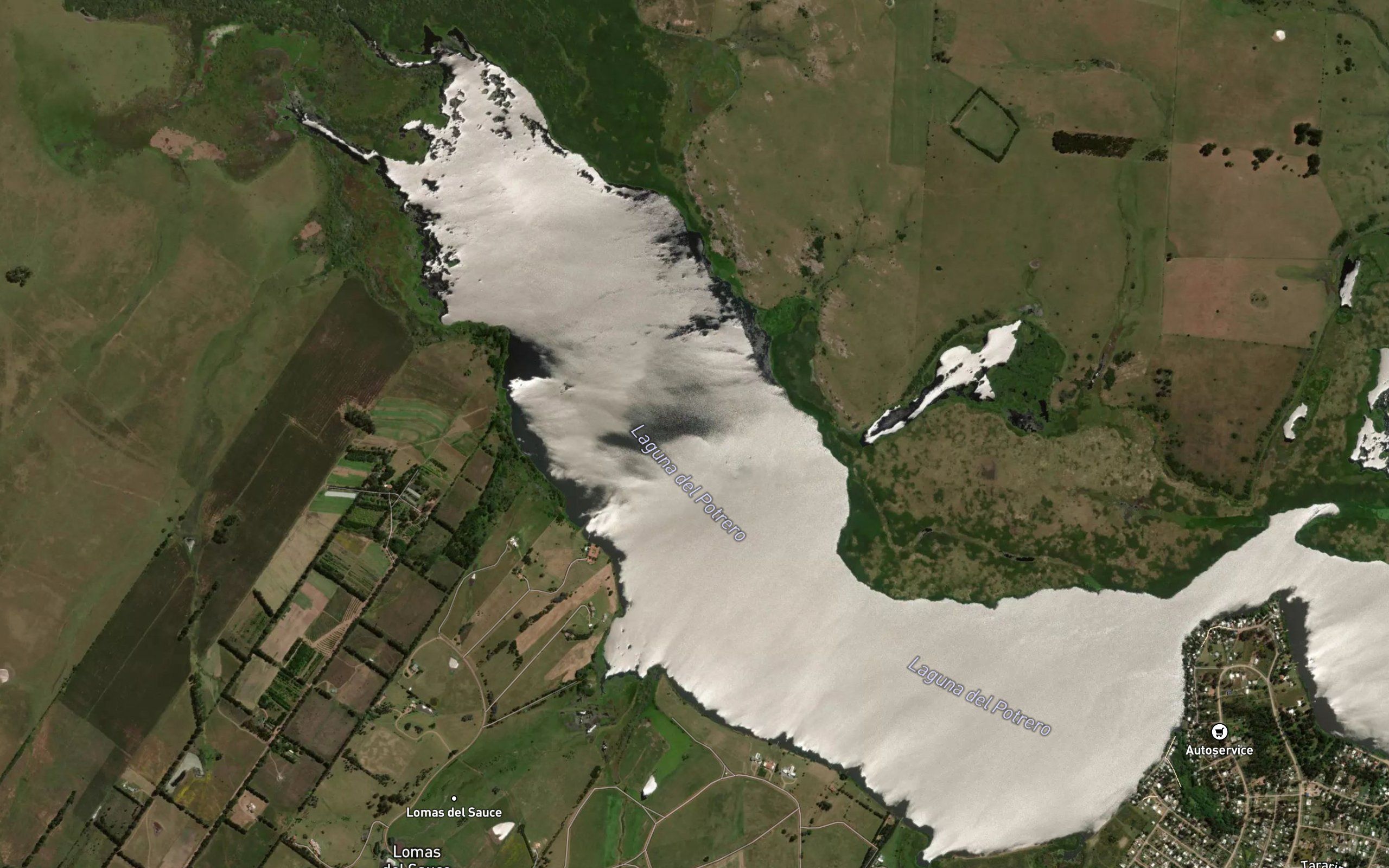 Laguna del Potrero