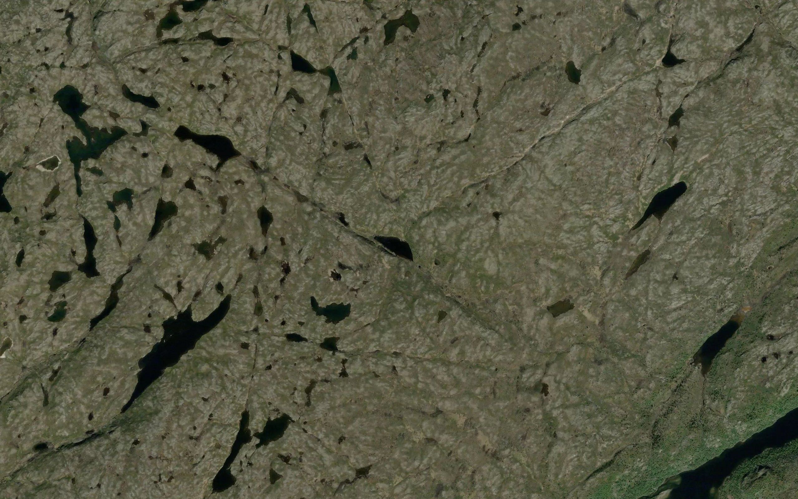 Guollejarjakka