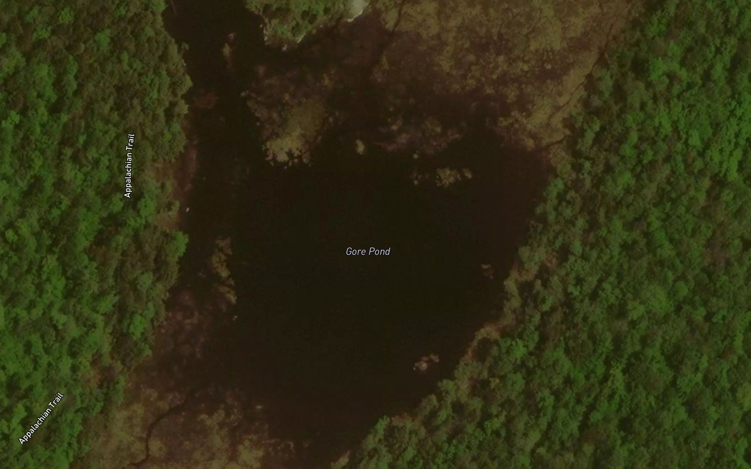 Gore Pond